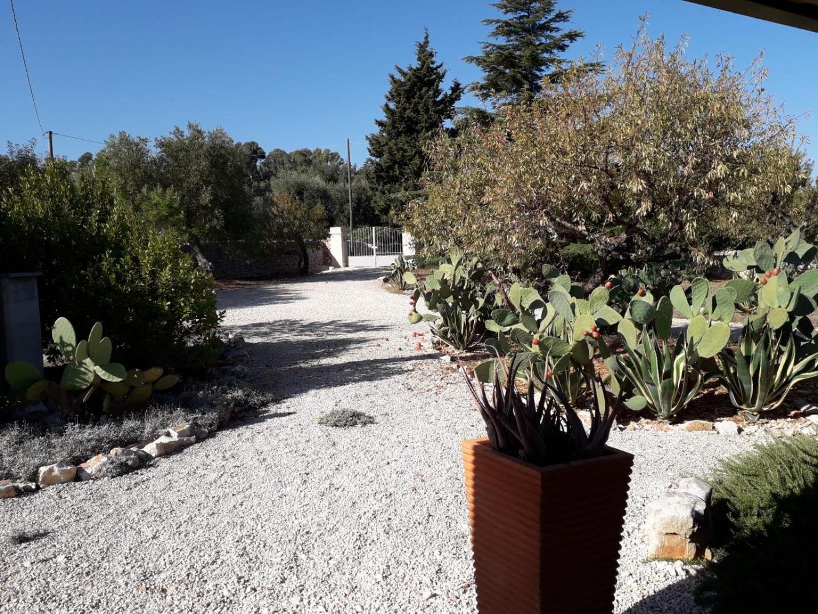 Masseria Due Torri Monopoli Bilik gambar