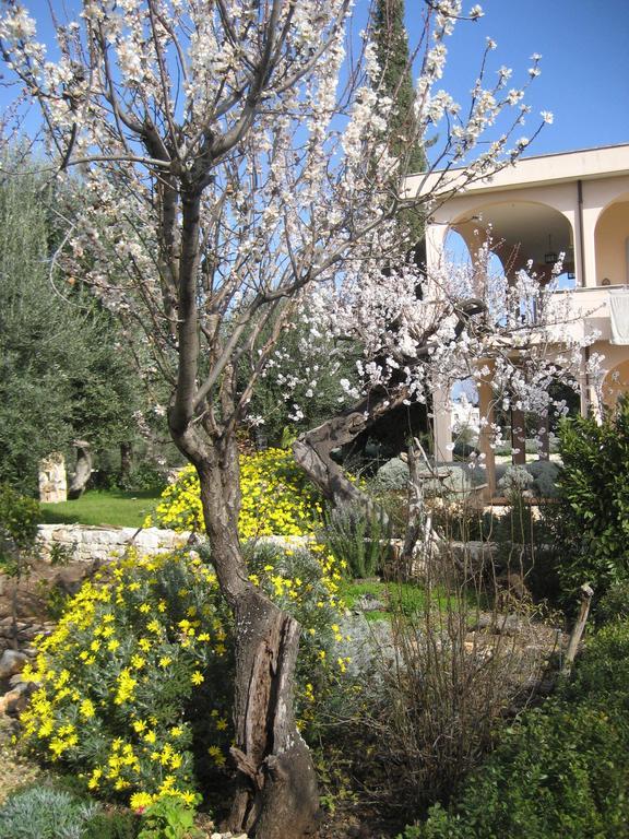 Masseria Due Torri Monopoli Bilik gambar
