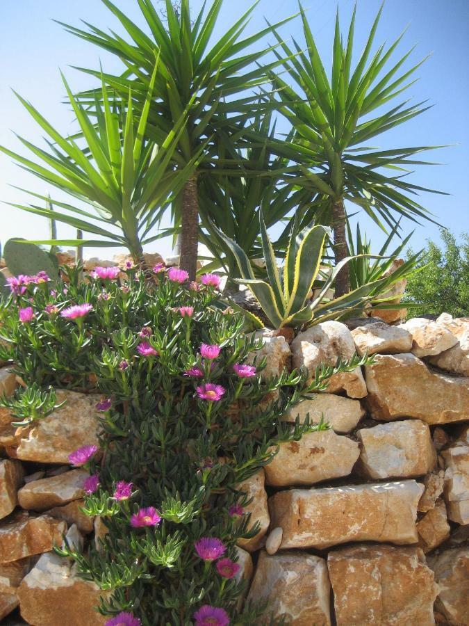 Masseria Due Torri Monopoli Luaran gambar